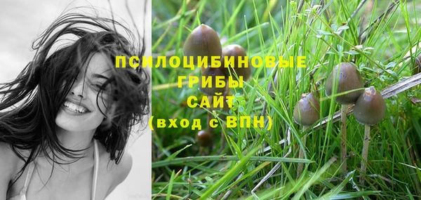 сатива Алексеевка