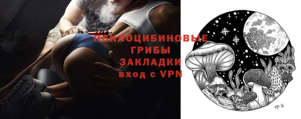 сатива Алексеевка