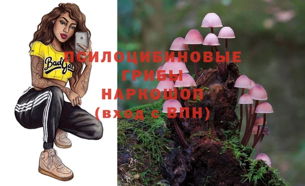 спайс Алзамай