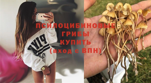 Альфа ПВП Алексин