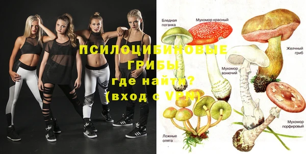 спайс Алзамай
