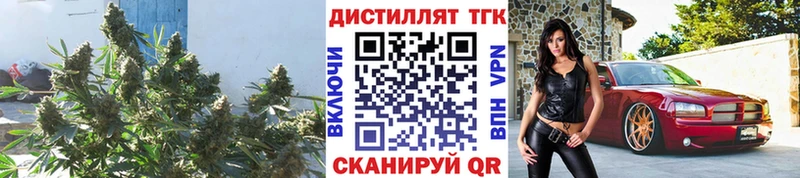 hydra как зайти  купить закладку  Далматово  ТГК Wax 